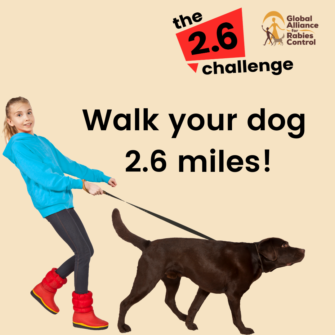 Walk your dog for the 2.6 challenge