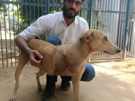 Dr Sanjay Singh 1