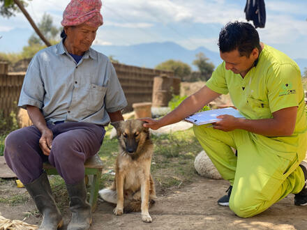 Amici Cannis team member interviewing a dog owner