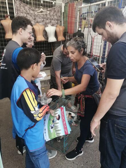 AOAR vaccinating a cat