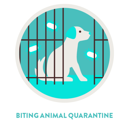 Biting Animal Quarantine