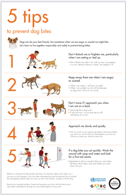 Five tips to prevent dog bites thumbnail