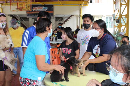 BI Philippines team vaccinates some owned puppies. 