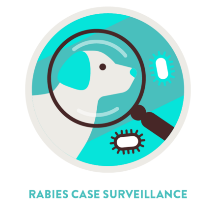 Rabies Case Surveillance