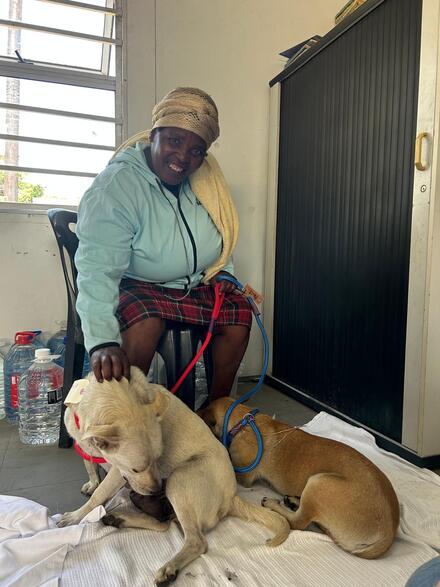 SAFE - woman with pet dogs