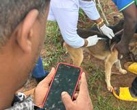 Dog vaccination using GARC app thumbnail