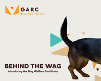 Behind the Wag thumbnail