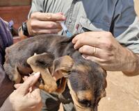 Stronger together South Africa vaccination