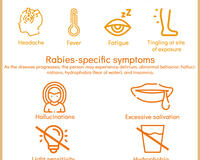 A GARC Infographic depicting the various symptoms of rabies in humans.