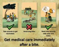 Africa Rabies Outreach Poster English