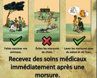 Africa Rabies Outreach Poster Francais