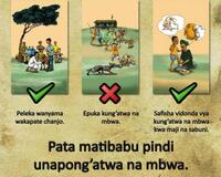 Africa Rabies Outreach Poster Kiswahili