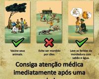 Africa Rabies Outreach Poster Portugues