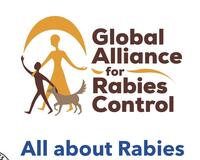 All About Rabies Ages 6-8 English