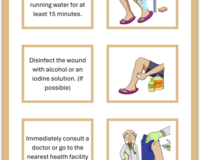 Basic wound care thumbnail