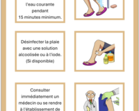 Basic wound care thumbnail