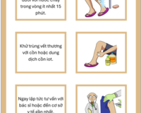 Basic wound care thumbnail