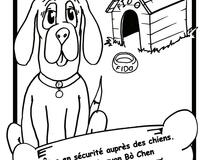 Be safe around dogs Francais Creole