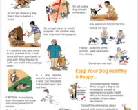 Be sensitive and kind poster thumbnail
