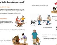 Be sensitive and kind to dogs leaflet English