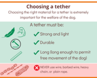 Choosing tether material