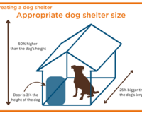 Appropriate dog shelter size