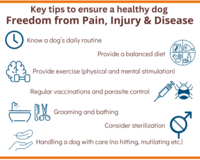Freedom from pain, injury, and disease