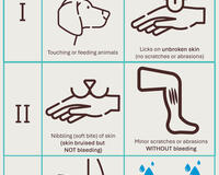 Wound category poster 2025 English