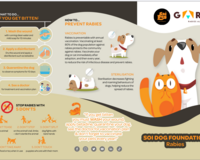 Rabies brochure thumbnail