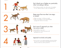 Five tips to prevent dog bites thumbnail