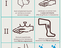 Wound category poster 2025 French