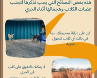 Tips for runners Arabic