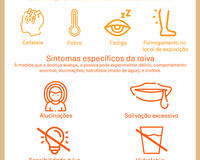 Rabies symptoms in humans infograph 2025 Portuguese
