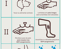 Wound category poster 2025 Portuguese