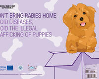 IZSVE table mats to raise awareness against illegal puppy trafficking in Europe, supported by GARC. 