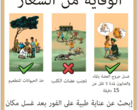 Rabies outreach poster thumbnail
