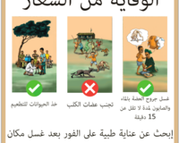 Rabies outreach poster thumbnail