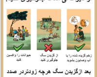 Rabies outreach poster thumbnail