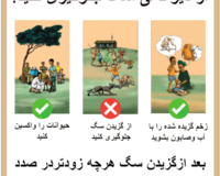 Rabies outreach poster thumbnail