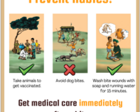 Rabies outreach poster thumbnail
