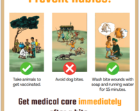 Rabies outreach poster thumbnail