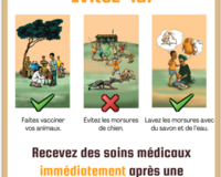 Rabies outreach poster thumbnail