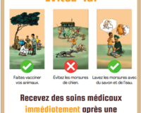 Rabies outreach poster thumbnail