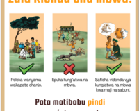 Rabies outreach poster thumbnail