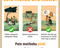 Rabies outreach poster thumbnail