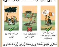 Rabies outreach poster thumbnail