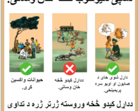 Rabies outreach poster thumbnail