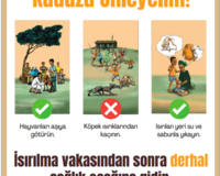 Rabies outreach poster thumbnail