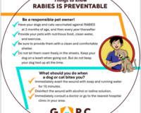 Rabies prevention fan thumbnail