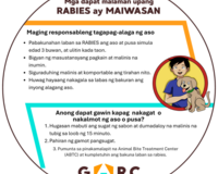 Rabies prevention fan thumbnail